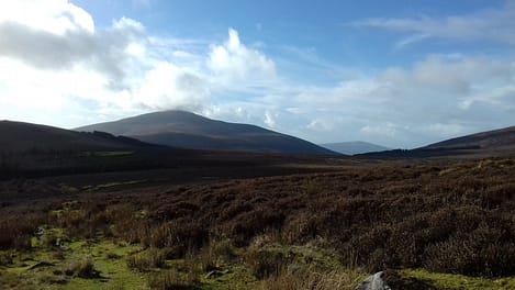 The scenic Mount Leinster Blackstairs 