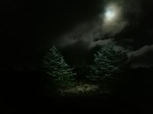 Hiking in Wicklow with Alex
