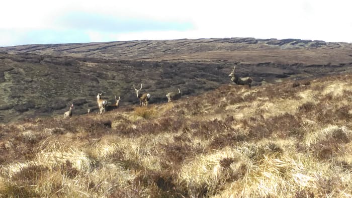 WICKLOW and DUBLIN MOUNTAINS - Image 6