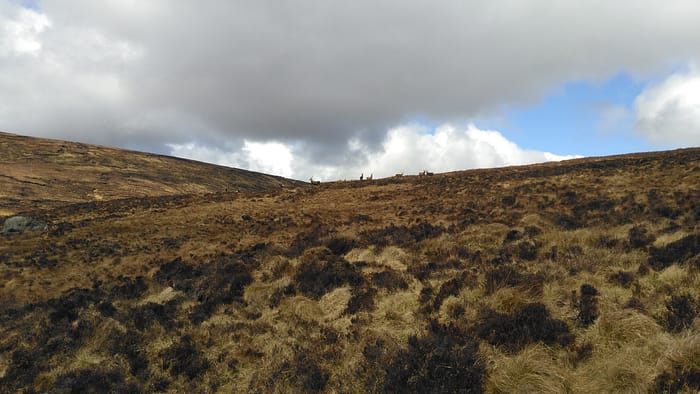 WICKLOW and DUBLIN MOUNTAINS - Image 7