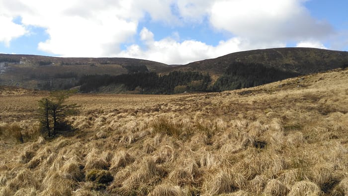 WICKLOW and DUBLIN MOUNTAINS - Image 11