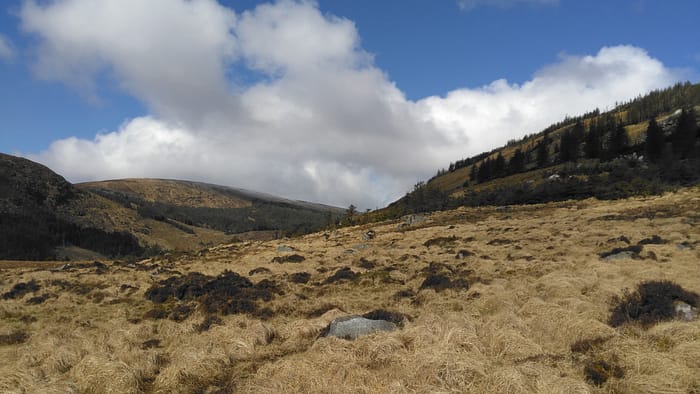 WICKLOW and DUBLIN MOUNTAINS - Image 12
