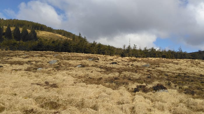 WICKLOW and DUBLIN MOUNTAINS - Image 13